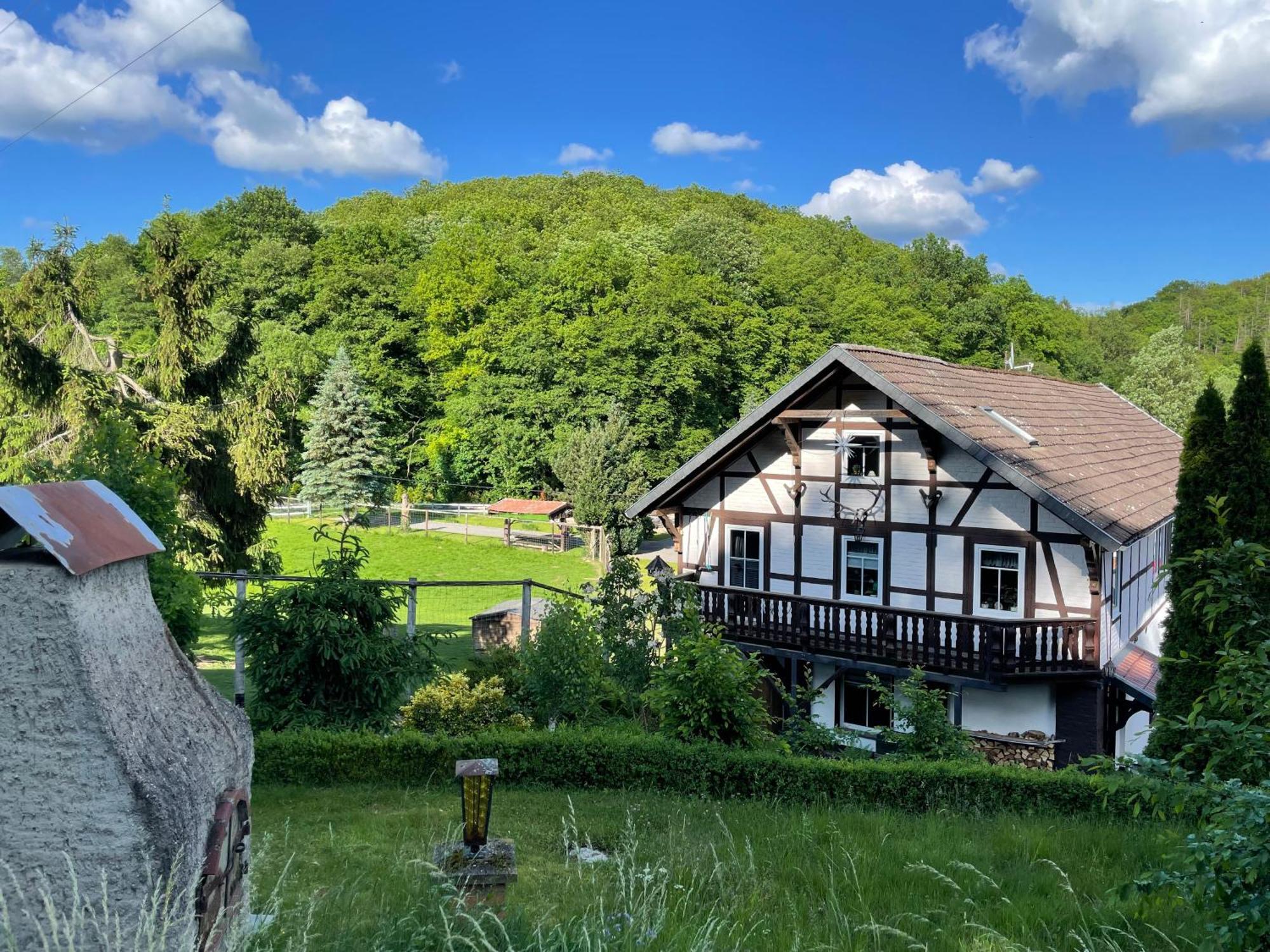 Holla Die Waldfee Konigerode Extérieur photo