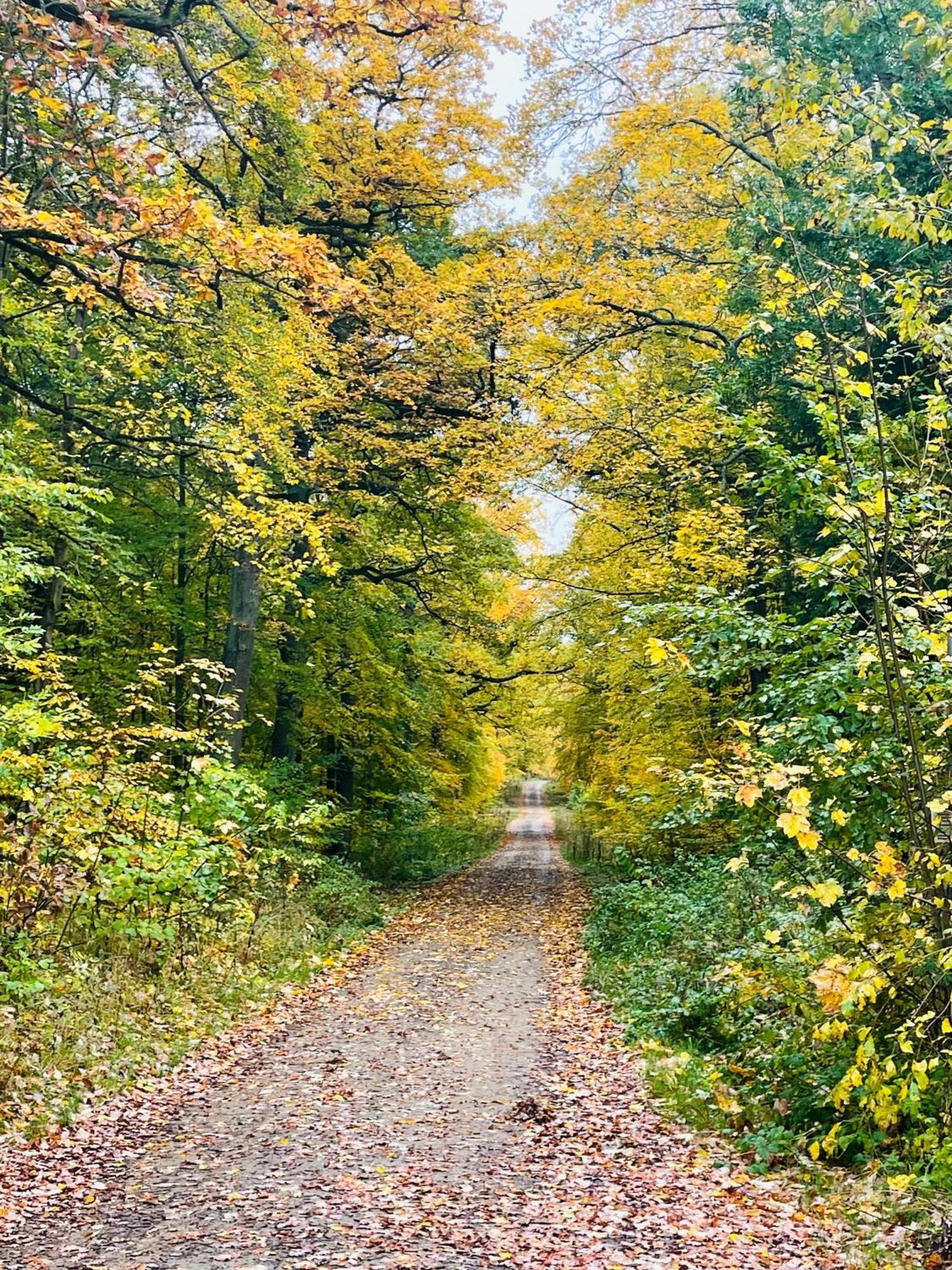 Holla Die Waldfee Konigerode Extérieur photo